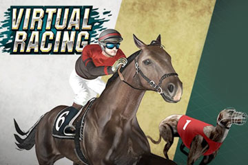 Virtual Racing
