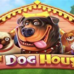 Pragmatic Play Lance The Dog House Megaways