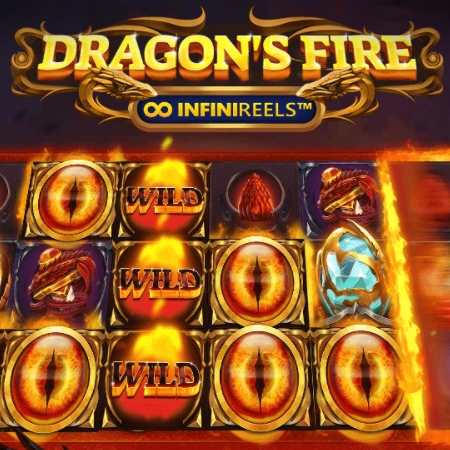 Le Nouveau Grand Succès De Red Tiger